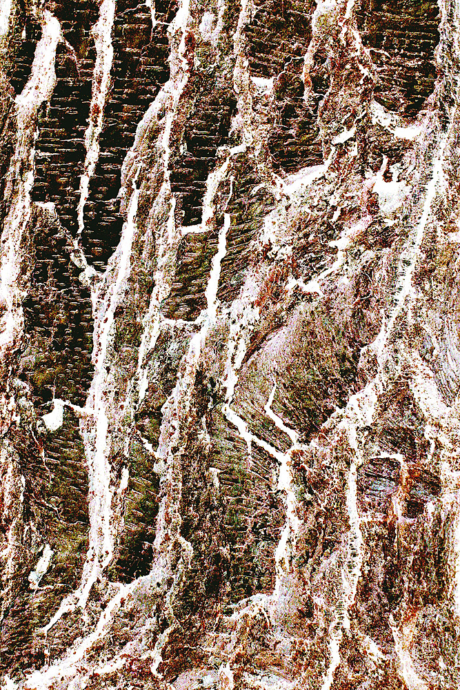 Maria Christidi - Physis Portfolio