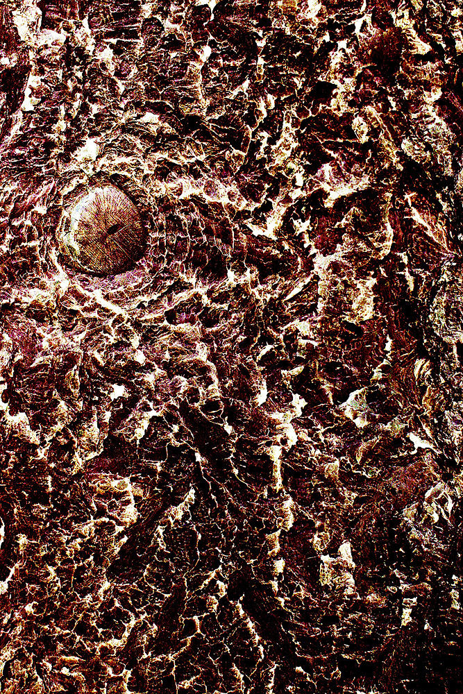 Maria Christidi - Physis Portfolio