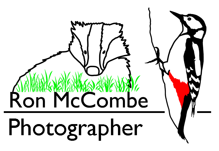 Ron McCombe Wildlife Photography logo.