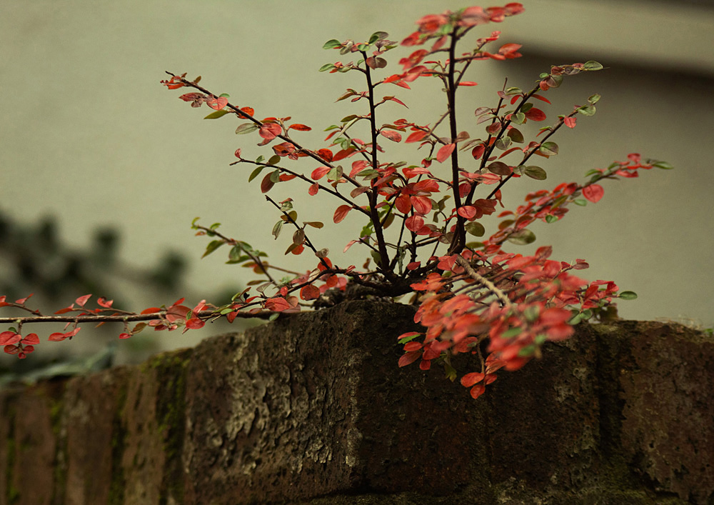 Claire Tytler - Life in the City Portfolio