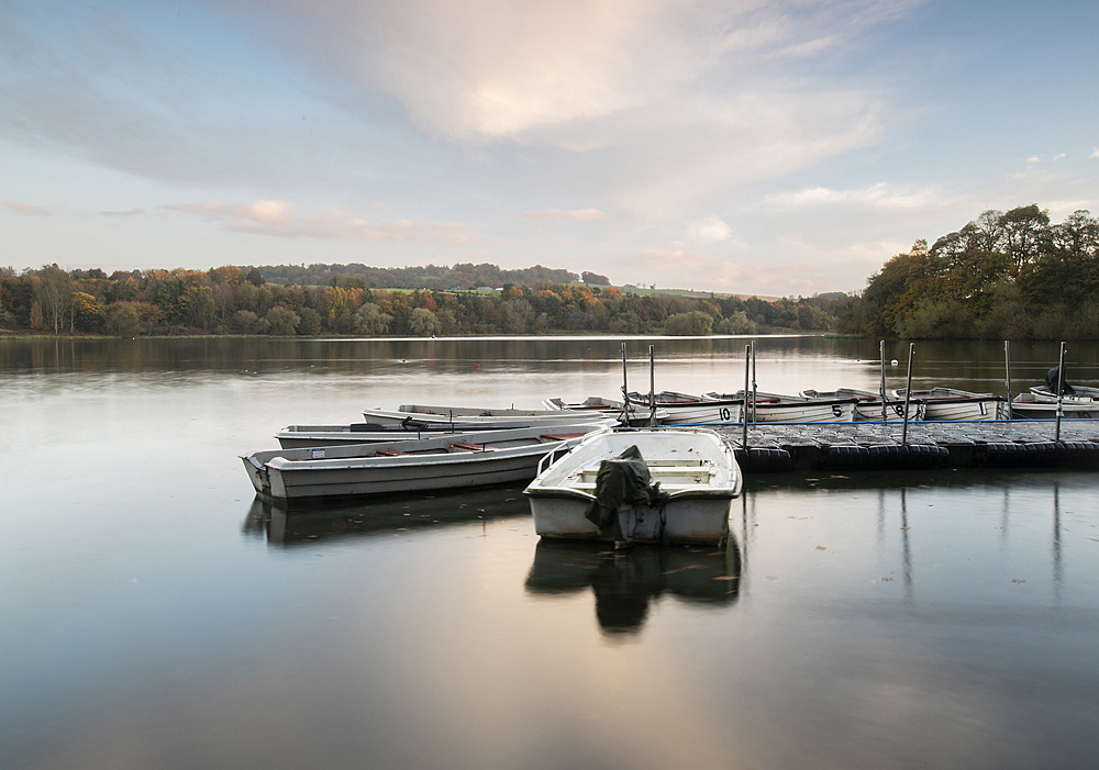 Murronrose Dunn - A Tale of Tides Portfolio