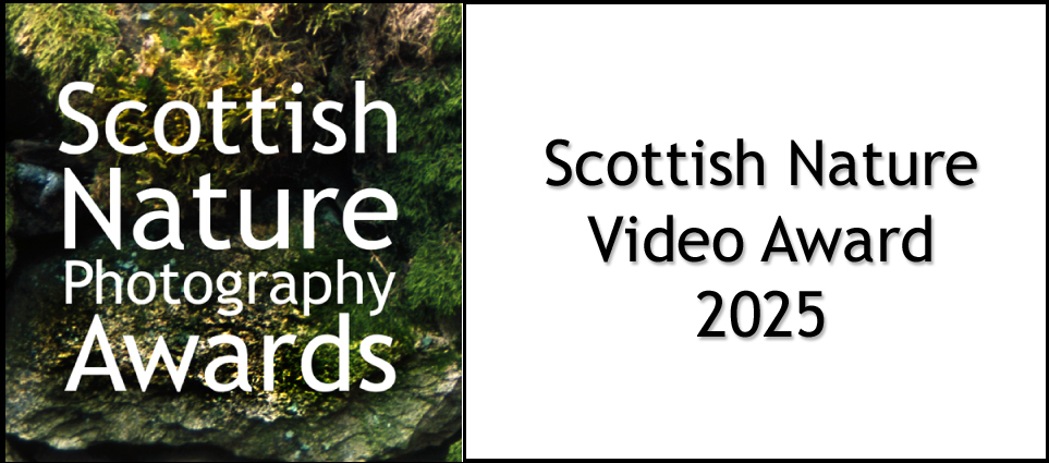 Scottish Nature Video Award 2025 logo