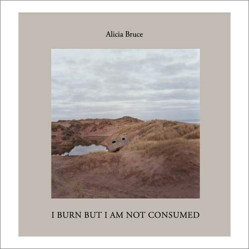 Cover image I Burn But I Am Not Consumed by Alicia Bruce (Daylight Books)