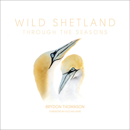 Cover image Wild Shetland through the Seasons by Brydon Thomason (Shetland Times)